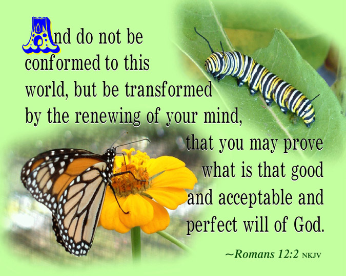 Romans 12 1 2 Niv - sharedoc